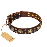 'Flower Melody' FDT Artisan Brown Leather Dog Collar with Mixed Studs for Everyday Walking