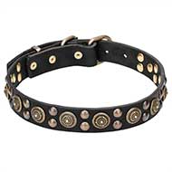"Shiny Charm" Leather Dog Collar with Conchos and Studs Decoration - 1 1/5 inch (30 mm)