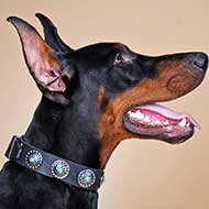 Walking and Training Doberman Leather Collar with Blue Stones