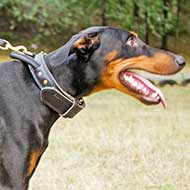 Attack Training Doberman Leather Collar with Handle