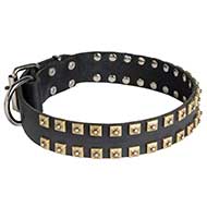 Walking and Training Studded Leather Dog Collar "Caterpillar"