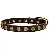 Walking and Training Leather Dog Collar With Doted Circles