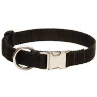 All Weather Nylon Dog Collar for Training and Walking