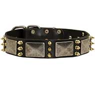 Designed Leather Dog Collar For Stylish Pet Owners and Their Canines