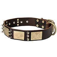 Wide Leather Decorated Dog Collar with Vintage Plates and Spikes for Big Breeds