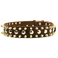 New Gorgeous Leather Dog Collar with Spikes and Studs