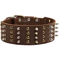 Gorgeous Extra Wide Leather Dog Collar with Spikes and Studs