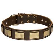 Unusually Decorated Leather Dog Collar With Brass Plates