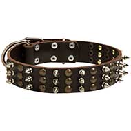 Fashionable Leather Dog Collar with Spikes and Studs