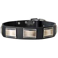 Big Dogs Collar Of Leather Decorated With Nickel Plates