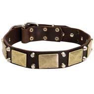 Dog Collar With Decoration Of Brass Plates And Cones