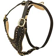 Gorgeous Y-shaped Leather Dog Harness with Brass Studs