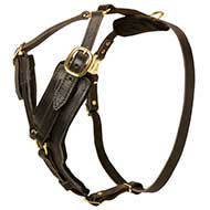 Elegant Y-shaped Leather Dog Harness for Effective Training and Pleasant Walking