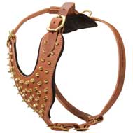 Fashionable Leather Dog Harness For Stylish Walking And Training