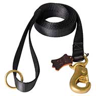 Amazing Nylon Dog Leash for Walking and Police Tracking