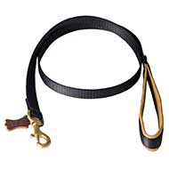 Dog Leash With Padded Handle For Walking And Training