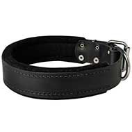 Attack Training Leather Dog Collar with Inner Padding