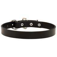 Walking Smooth Leather Dog Collar for Every Day