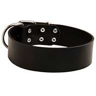 Adjustable Extra Wide Leather Dog Collar for Walking or Training