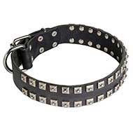 "Caterpillar" Leather Dog Collar with 2 Rows of Nickel Studs