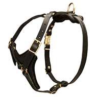 Tracking / Walking Leather Dog Harness for Large Breeds