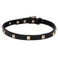 "Modern Style" Leather Dog Collar with Brass Fittings