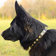 Training and Walking Studded Leather German Shepherd Collar