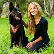 Fire Flames Painted Leather German Shepherd Harness