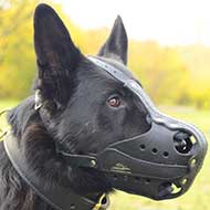 Extra Durable Leather German Shepherd Muzzle with Steel Bars for Attack Training