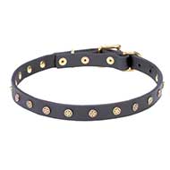 "Stars" Adorned Leather Dog Collar with Brass Studs