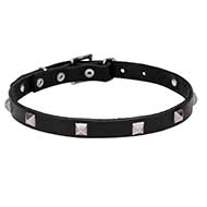 "A La Mode" Dog Collar of Natural Leather and Studs Decoration - 3/4 Inch (20 mm) Wide