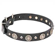 "Magic Necklace" Amazing Leather Dog Collar with Brass Circles and Studs