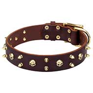 "Hard Rock" Leather Dog Collar with Spikes and Skulls Decor