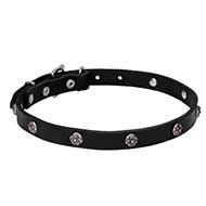 "Sparkling Beauty" Leather Dog Collar Decorated with Engraved Studs - 3/4 Inch (20 mm) Wide