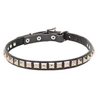 "King Studs" Leather Dog Collar with Chrome Plated Decorations