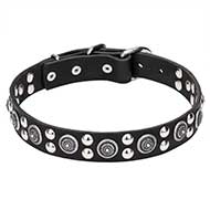 "Galactic Style" Leather Dog Collar with Silver-color Fittings