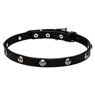 "Lucky" 20 mm Leather Big Dog Collar Decorated with Nickel Plated Leaf Studs
