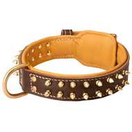 Walking Nappa Leather Dog Collar with Spikes
