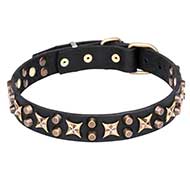 "Hollywood Star" Leather Dog Collar with Bronze Plated Fittings