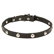 "Shiny Necklace" Fancy Leather Dog Collar with Chrome Plated Studs - 3/4 Inch (20 mm)