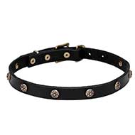 "Cloak and Sword" Leather Dog Collar with Carved Round Studs with Flowers