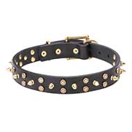"Space Travel" Leather Dog Collar - Brass Stars and Spikes Decoration