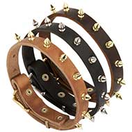 Walking Spiked Leather Dog Collar