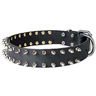 Fashionable Walking Leather Spiked Dog Collar