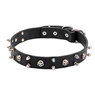 "Jolly Roger" Leather Dog Collar with Skulls and Spikes Decoration