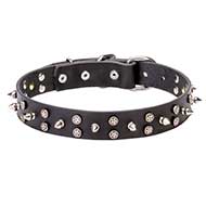 "Star-studded Sky" Walking Leather Dog Collar with Chrome Plated Decorations