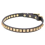 "Necklace-like" Narrow Dog Leather Collar for Elegant Performing
