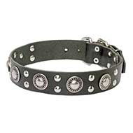 'Rock n Roll' Leather Dog Collar with Stud Decorations