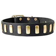 Brass Plated Wide Leather Dog Collar for Walking and Training