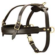 Pulling and Tracking Leather Dog Harness